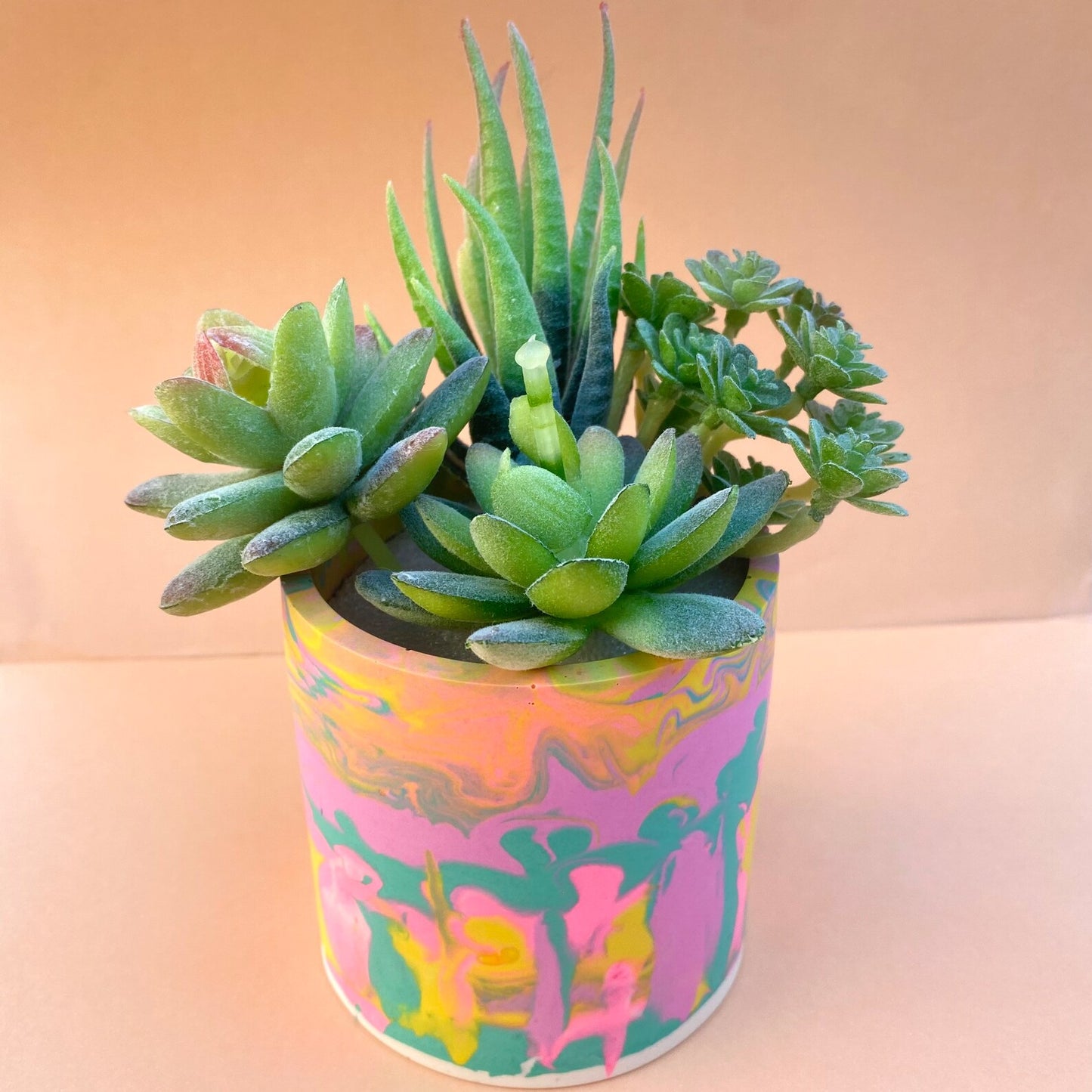 Colorful Planter - 90's Inspired Plant Pot