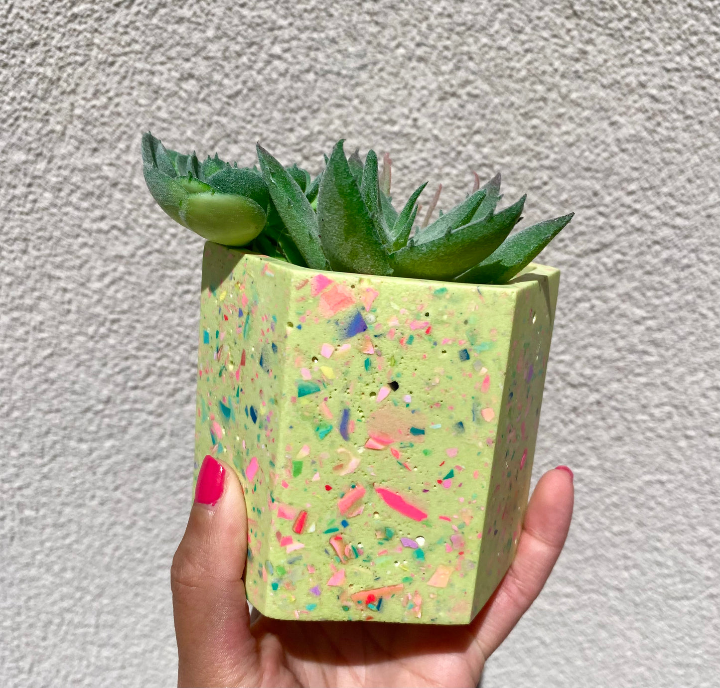 Colorful Terrazzo Plant Pots