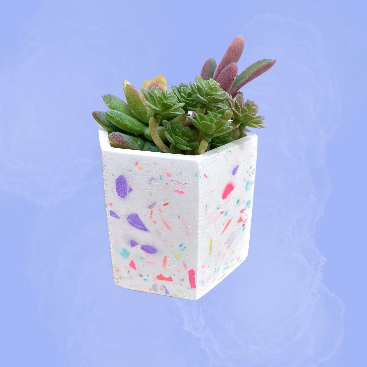 Terrazzo Pot/Planter