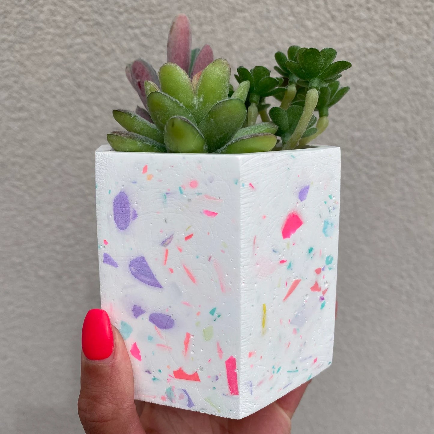 Terrazzo Pot/Planter