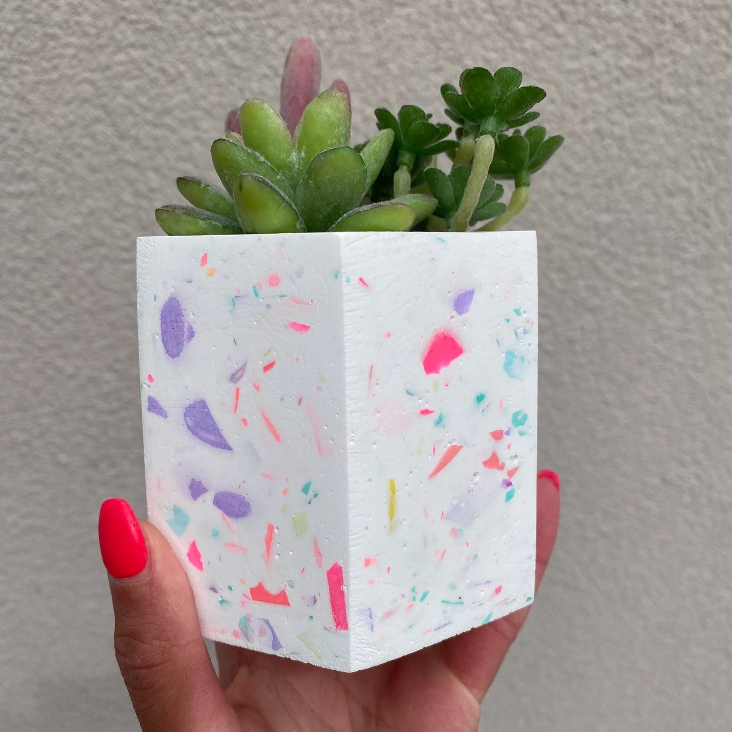 Terrazzo Pot/Planter