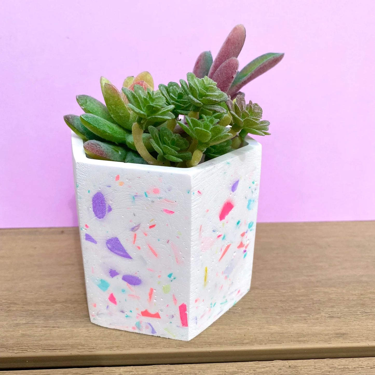 Terrazzo Pot/Planter