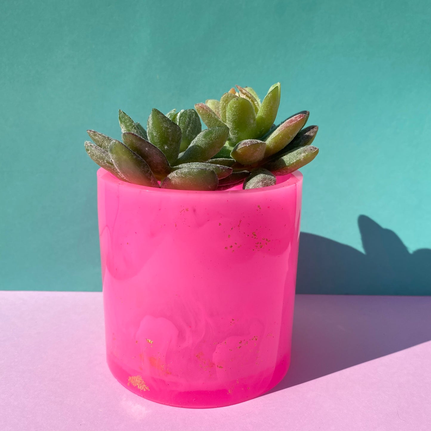 Neon Pink Plant Pot - The Barbie Collection