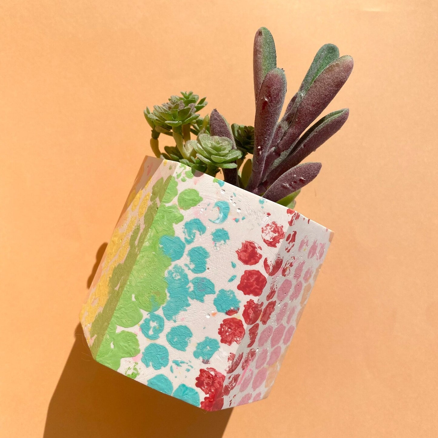 Rainbow Pot/Planter