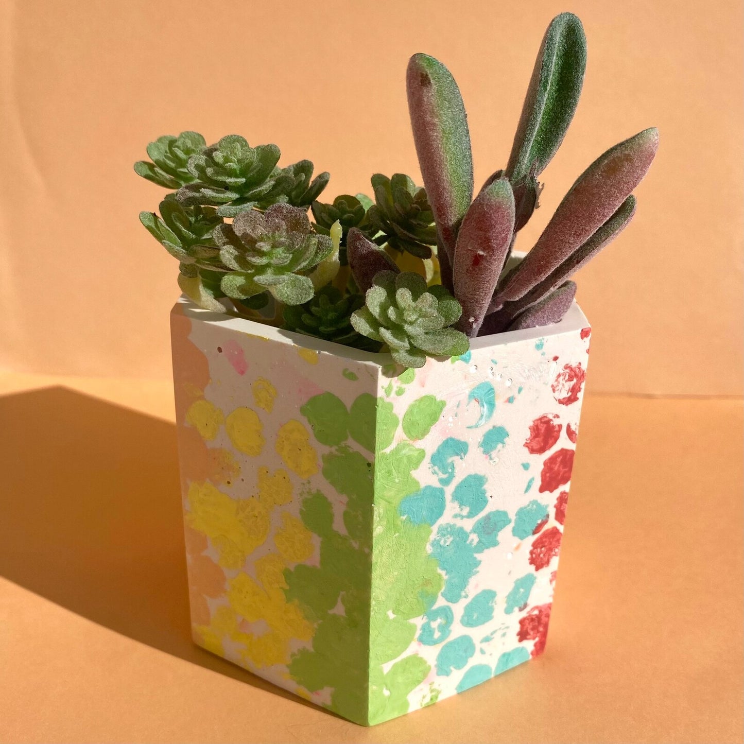 Rainbow Pot/Planter