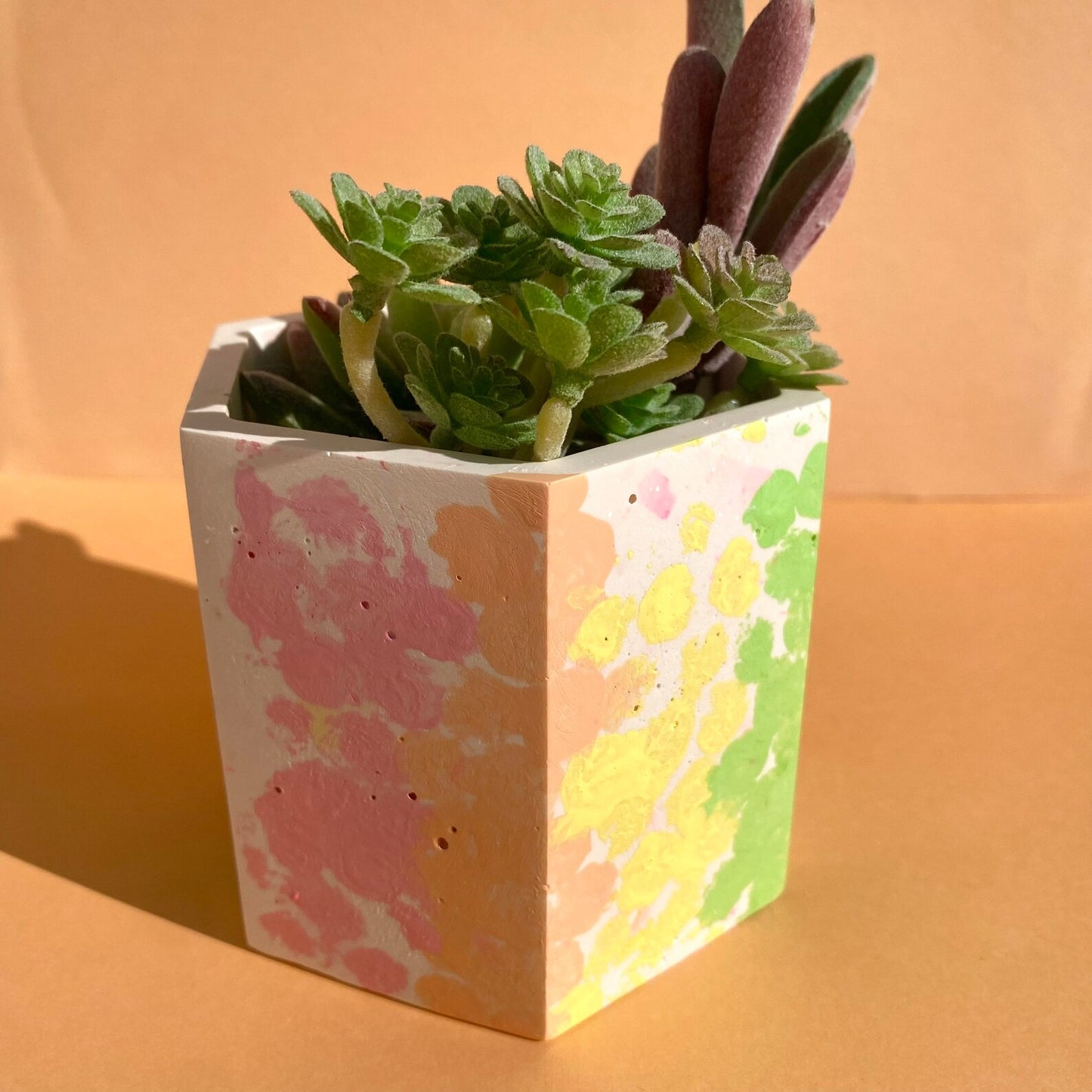 Rainbow Pot/Planter