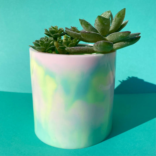 Tie Dye Planter