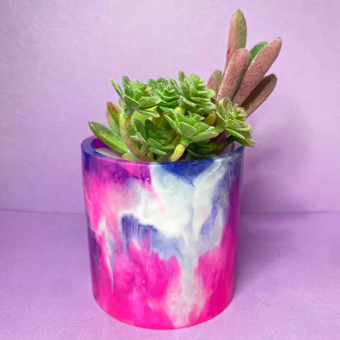 Ultra Violet Inspired Planter